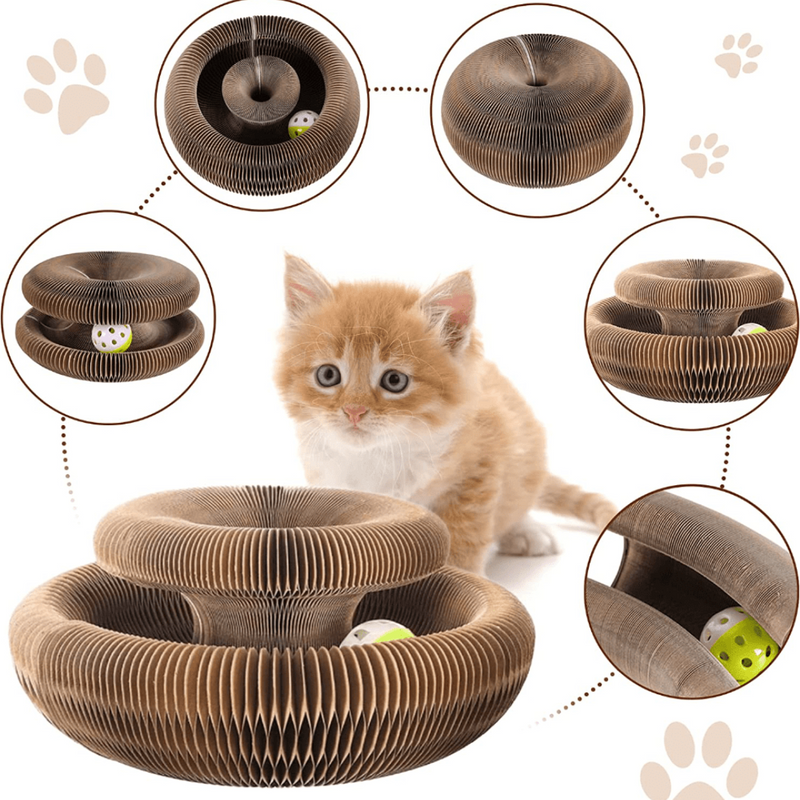 Brinquedo Interativo Para Gatos I Cat Joy + 1 Bola de Brinde - Clique Certo Brasil