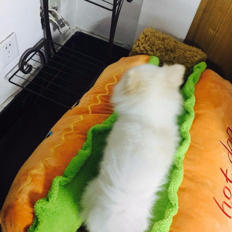 Cama para Pets - Hot Dog - Clique Certo Brasil