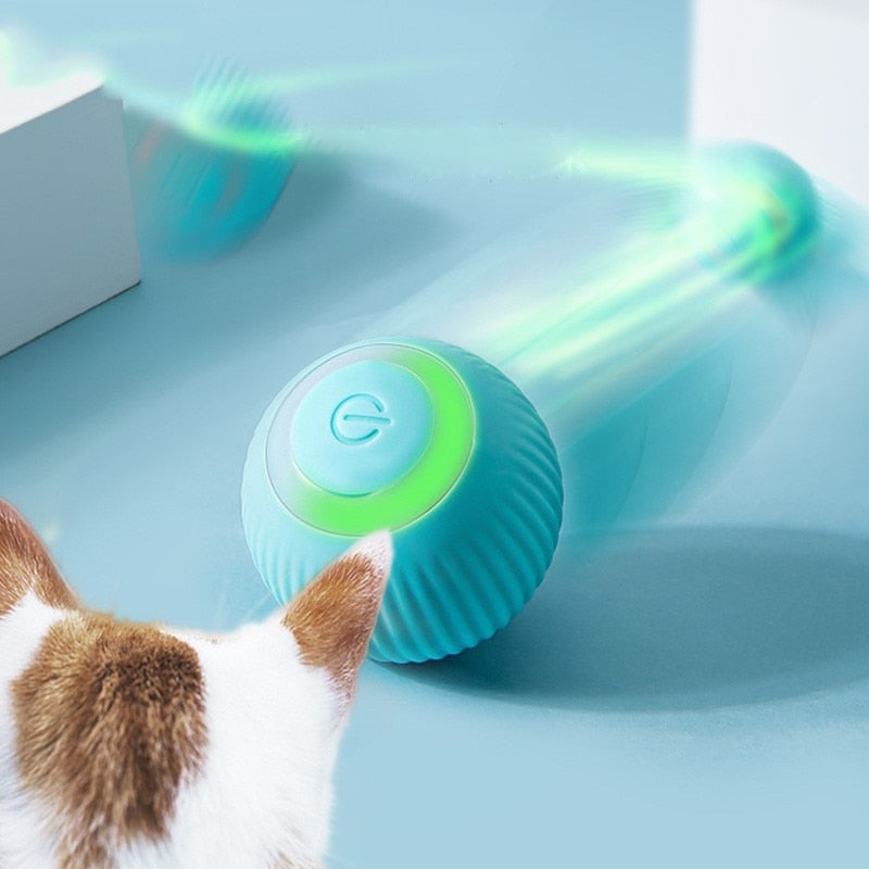 Bola Inteligente para Pet - Smart Ball™ - Clique Certo Brasil