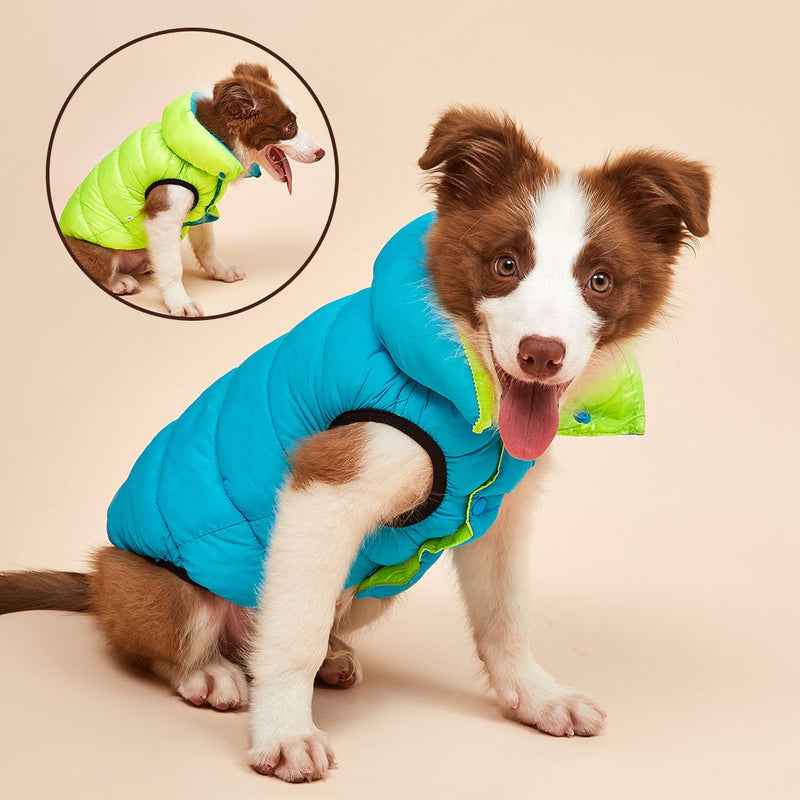 Colete Pet Alby™ Dupla-Face 3 Camadas | Roupa Para Cachorro - Clique Certo Brasil