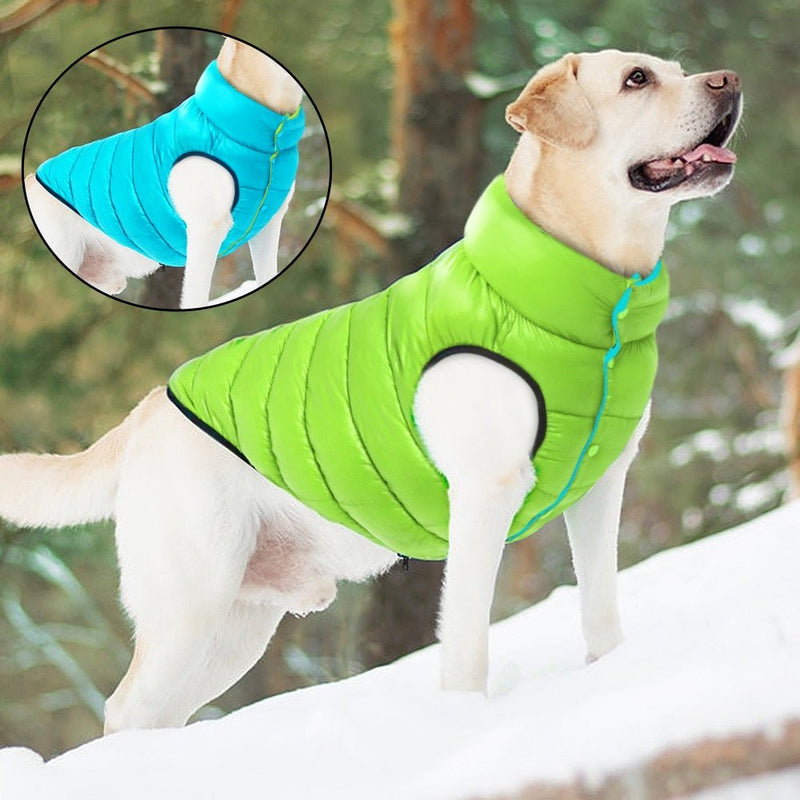 Colete Pet Alby™ Dupla-Face 3 Camadas | Roupa Para Cachorro - Clique Certo Brasil