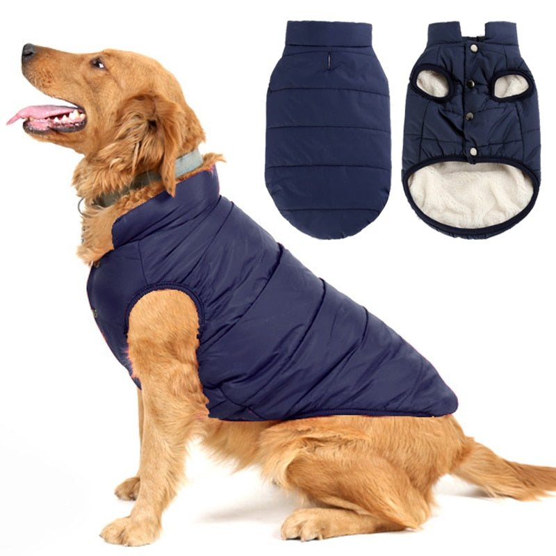 Colete Pet Steve™ | Roupa Para Cachorro - Clique Certo Brasil