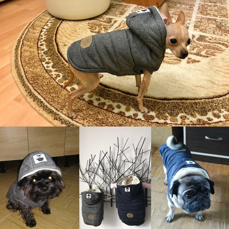 Colete de Inverno para Cachorros | Gentleman - Clique Certo Brasil